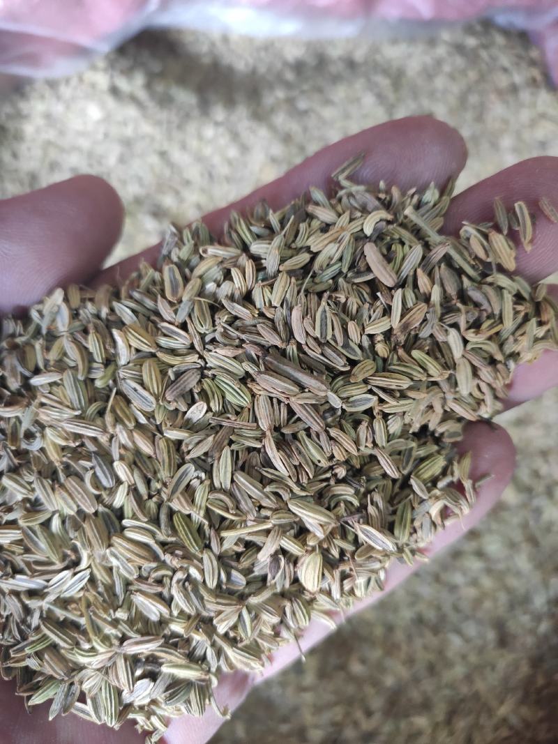 小茴香干货药食同源干净无杂质常年经营各种调料