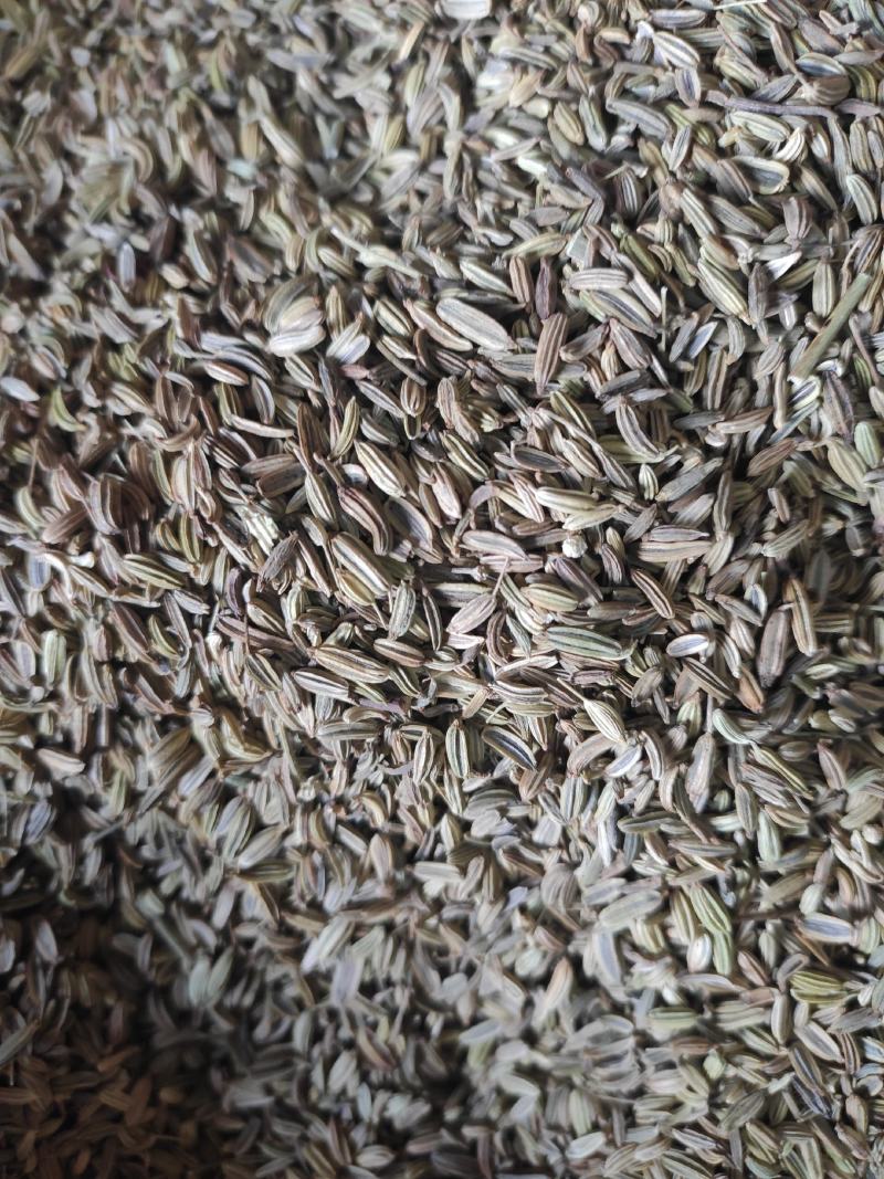 小茴香干货药食同源干净无杂质常年经营各种调料