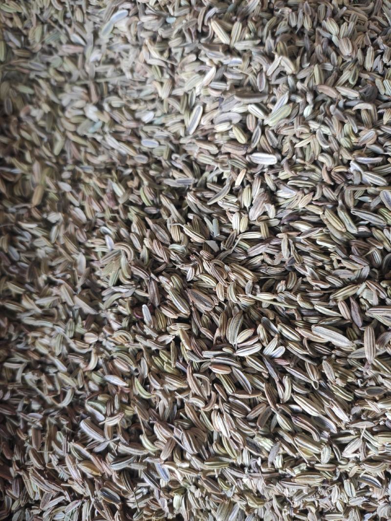 小茴香干货药食同源干净无杂质常年经营各种调料