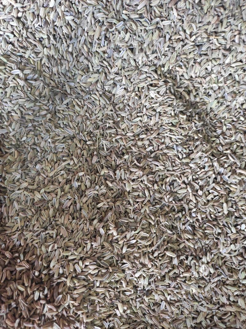 小茴香干货药食同源干净无杂质常年经营各种调料