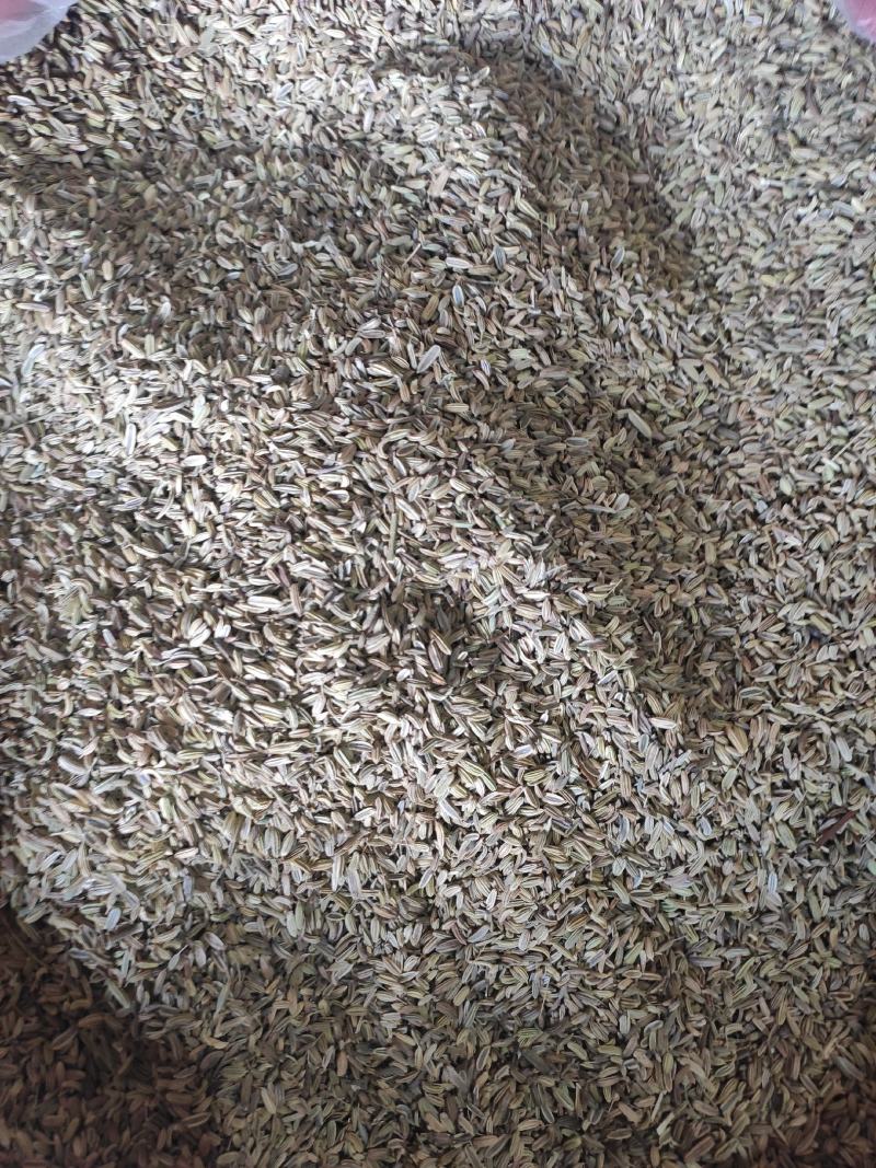 小茴香干货药食同源干净无杂质常年经营各种调料