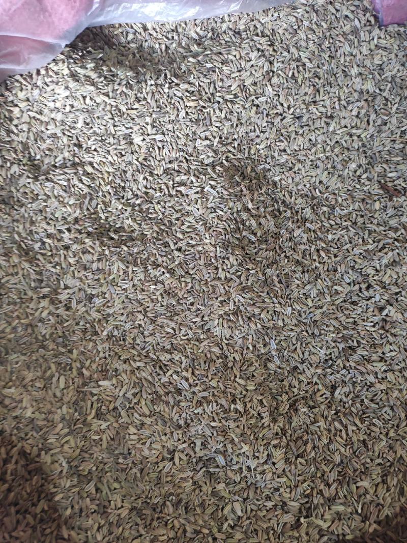 小茴香干货药食同源干净无杂质常年经营各种调料
