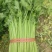 《优选》芹菜精品西芹可供商超，电商平台食堂单位原产地供货