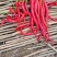 各种品种红辣椒大量上市了，品质非常漂亮。向全国各地发货！