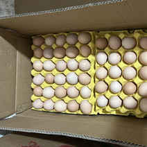精品双色大午金凤土鸡蛋，一手货源，原场直发，量大更