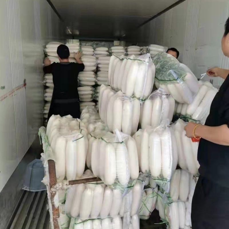 大萝卜上市，通货，精品，可散装可打冷精品萝卜，各种重量都