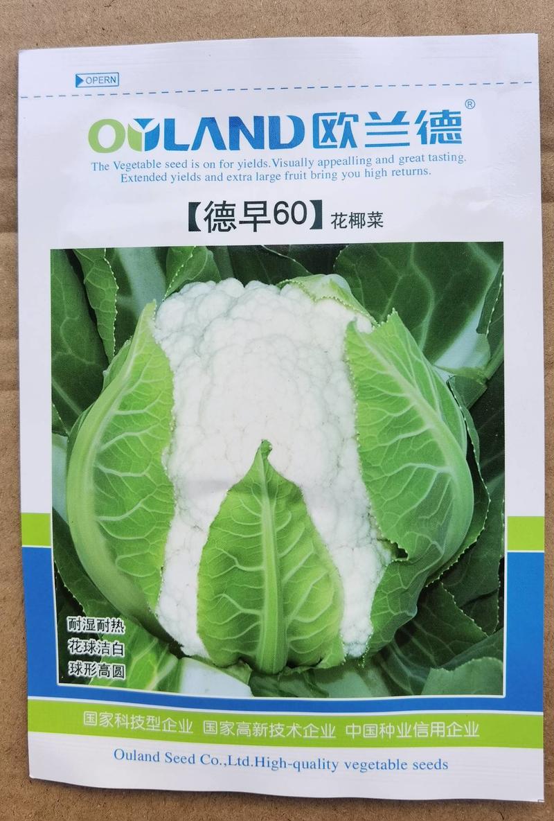 欧兰德德早60实花菜种子早熟耐热紧花菜洁白自覆花椰菜种