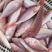 单冻金线鱼红三鱼3至4条/斤大众消费红杉鱼