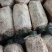 赤松茸大球盖菌种常年有货全程技术跟踪指导