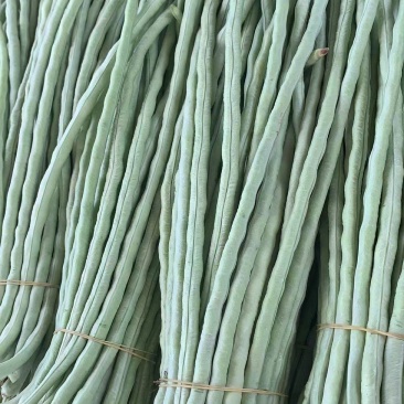 广东白豆角，大量上市基地合作，发往湖南，江西，湖北