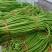 精品长豆角60厘米以上。一手货源，全国代发诚信经营