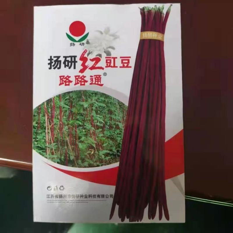 广东白豆角，大量上市基地合作，发往湖南，江西，湖北