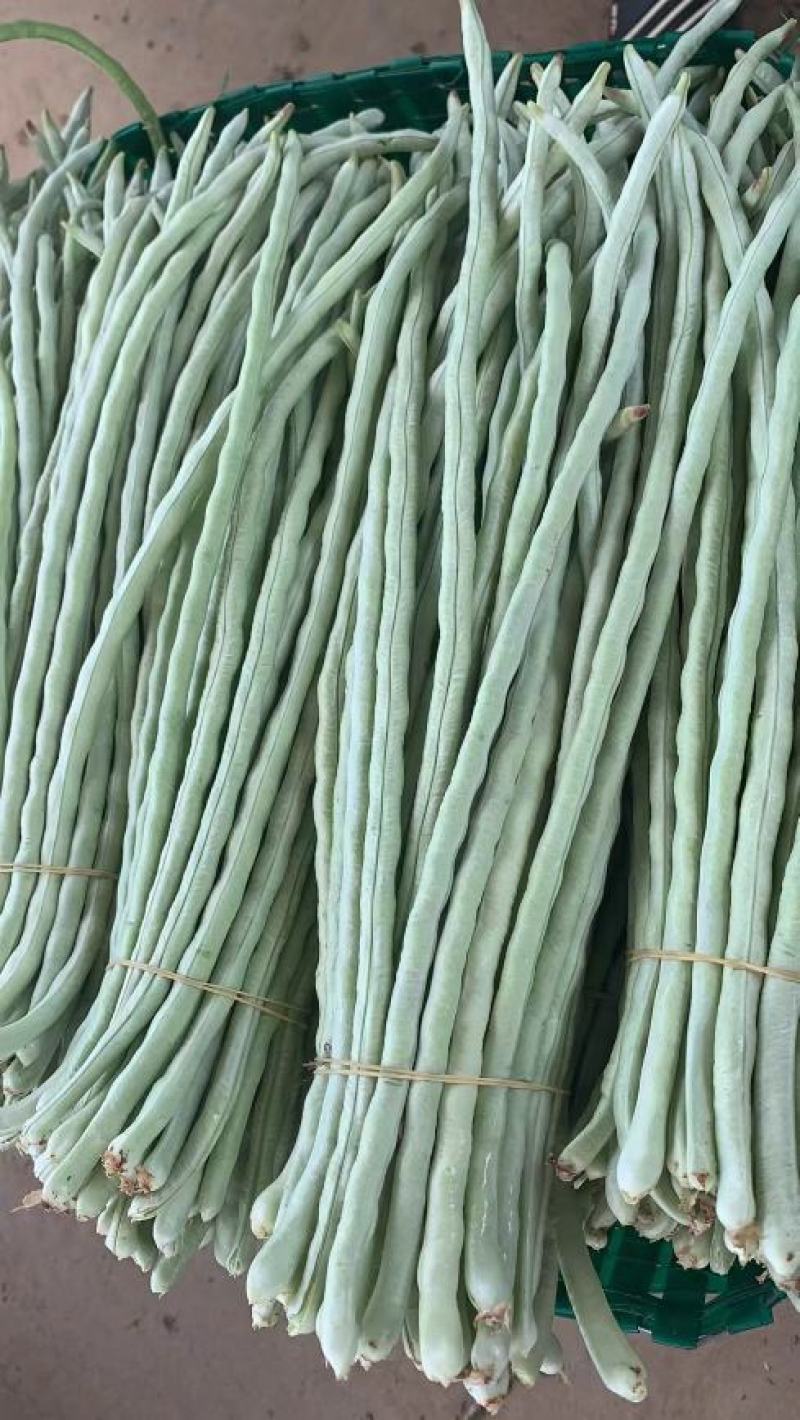 广东白豆角，大量上市基地合作，发往湖南，江西，湖北