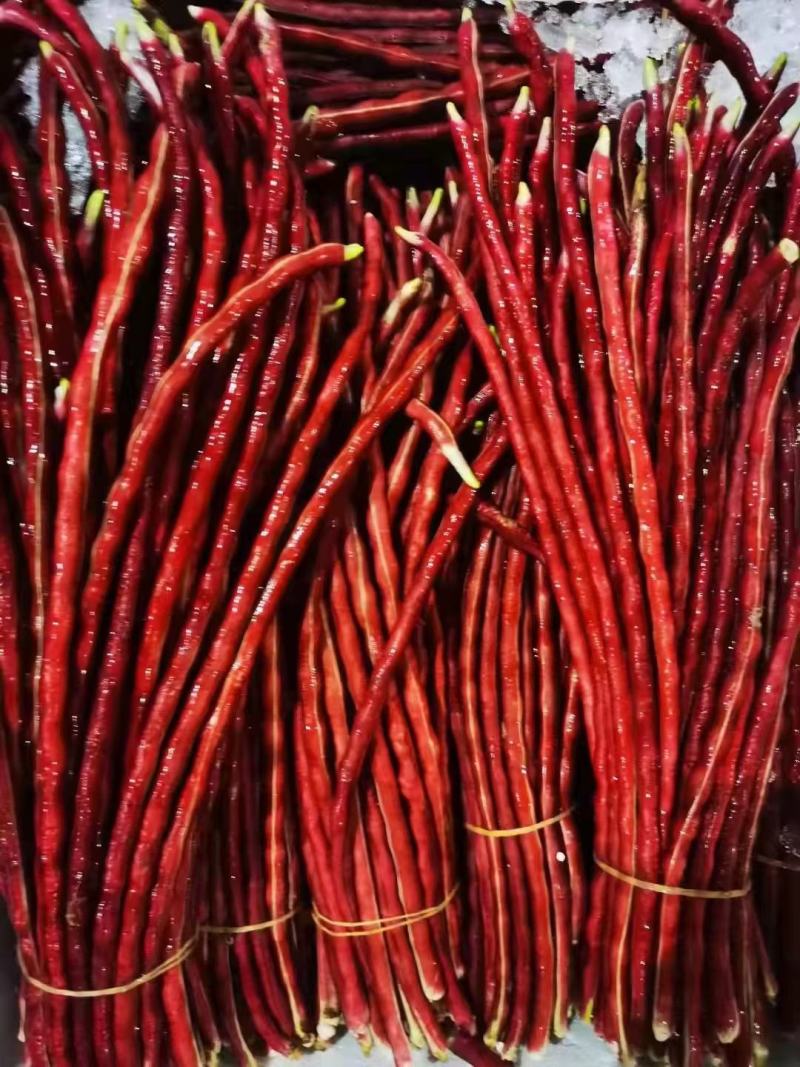 广东白豆角，大量上市基地合作，发往湖南，江西，湖北