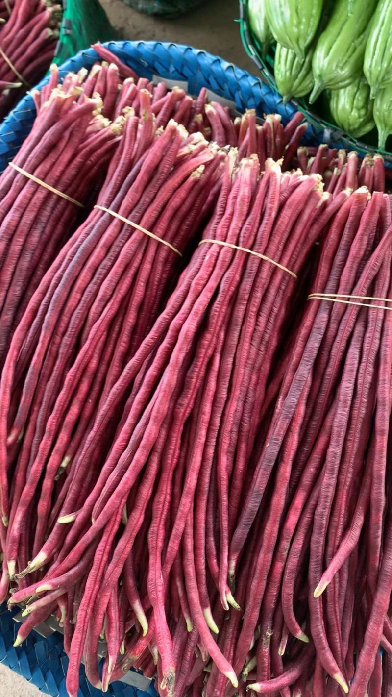 广东白豆角，大量上市基地合作，发往湖南，江西，湖北