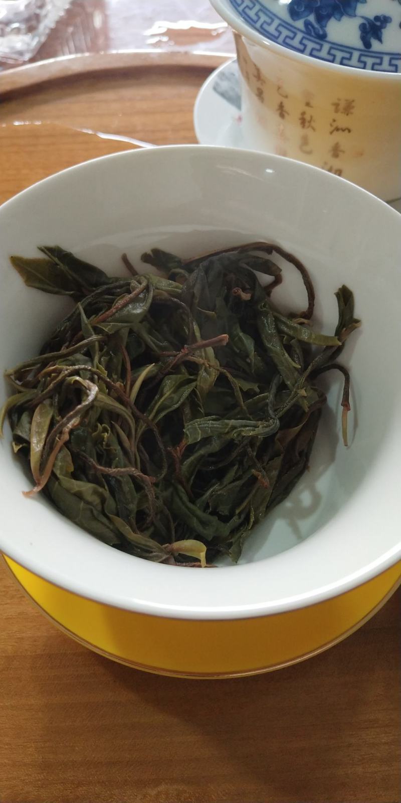 云南临沧忙肥古树茶