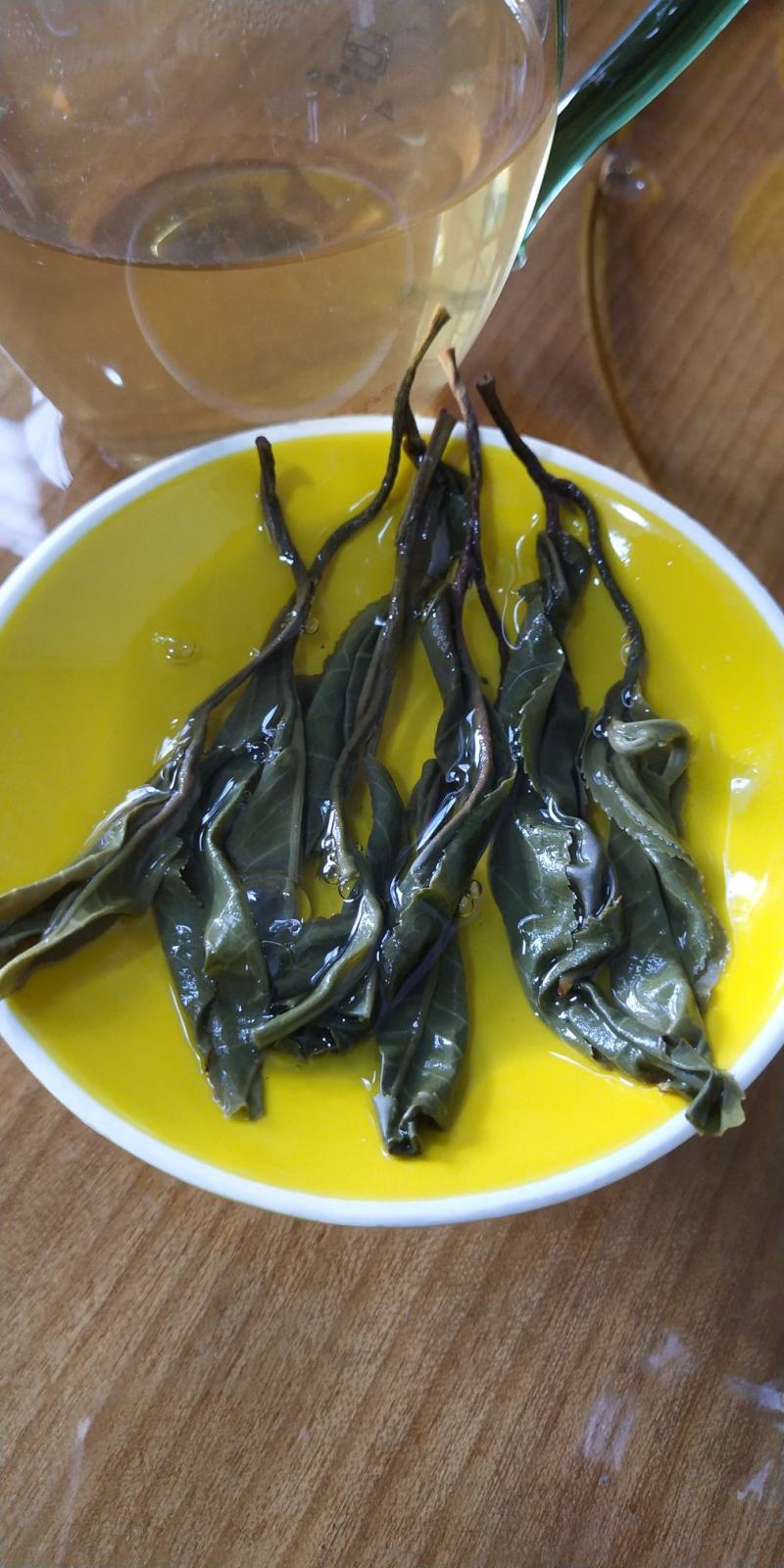 云南临沧忙肥古树茶