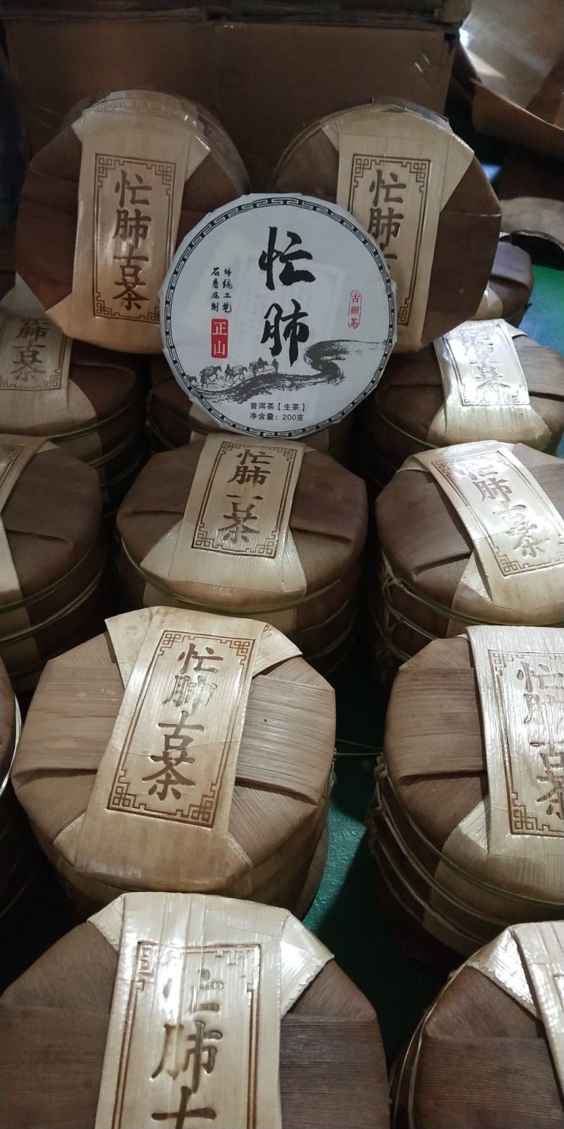 云南临沧忙肥古树茶