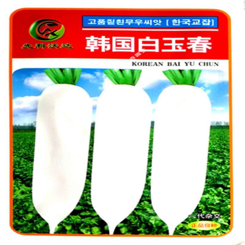 韩国白玉春白萝卜种子高产耐抽苔萝卜籽大棚田园春秋播易种罗