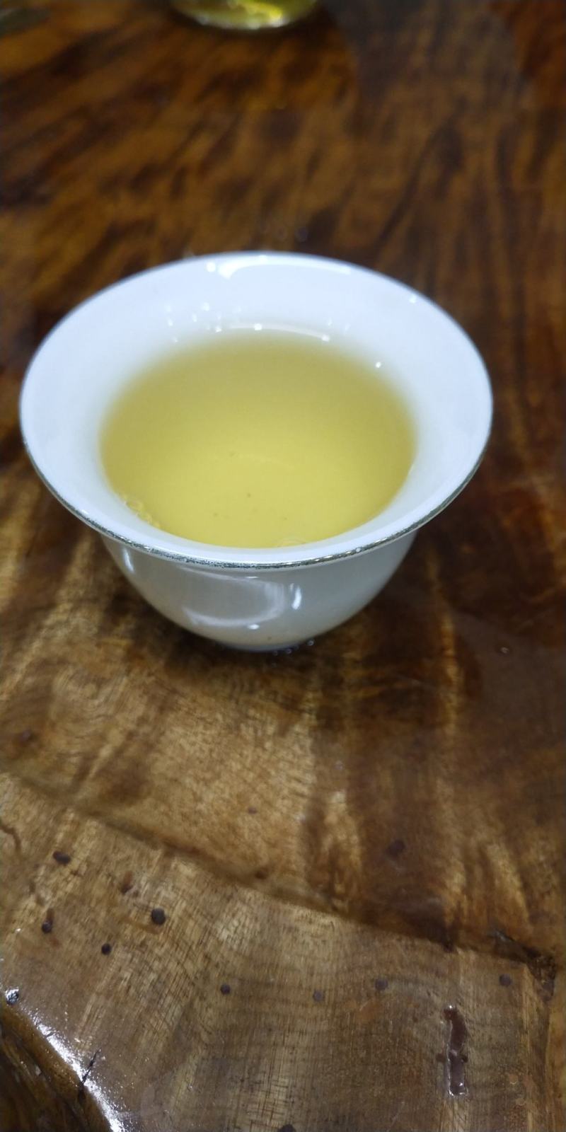 云南临沧忙肥古树茶