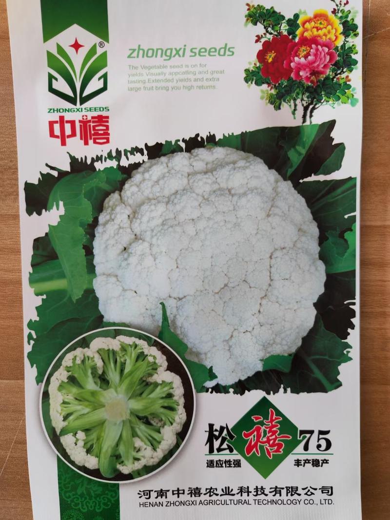 免盖台湾郑研青梗白面小米粒有机松花菜种子花球松大