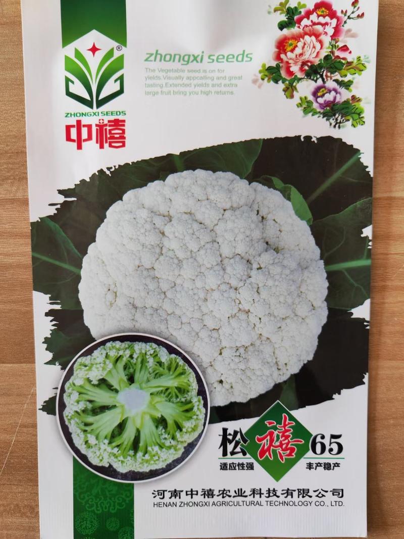 免盖台湾郑研青梗白面小米粒有机松花菜种子花球松大