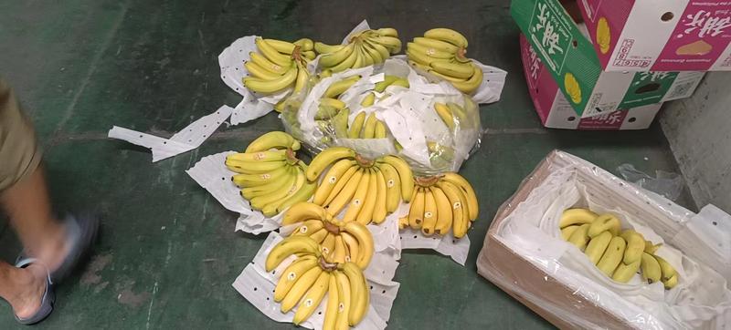 香蕉一级二黄蕉，香蕉青蕉精品超市，大型特卖，电商，档口