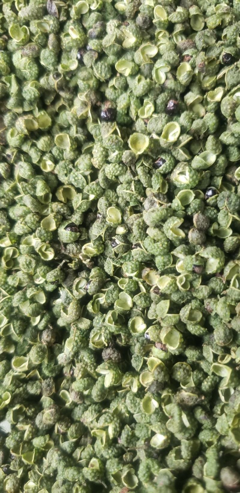 精品云南青麻椒一手货源质量保障视频看货等您来电
