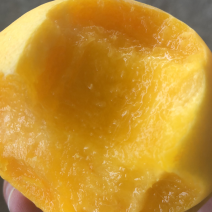 黄桃