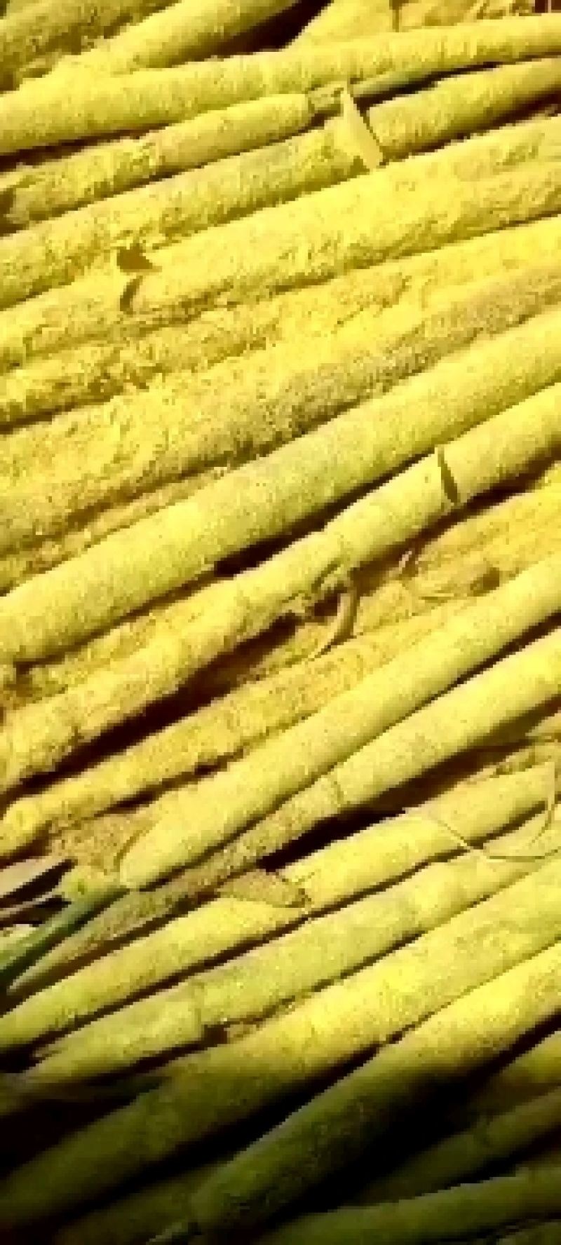 蒲黄粉