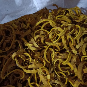 黄柏精皮