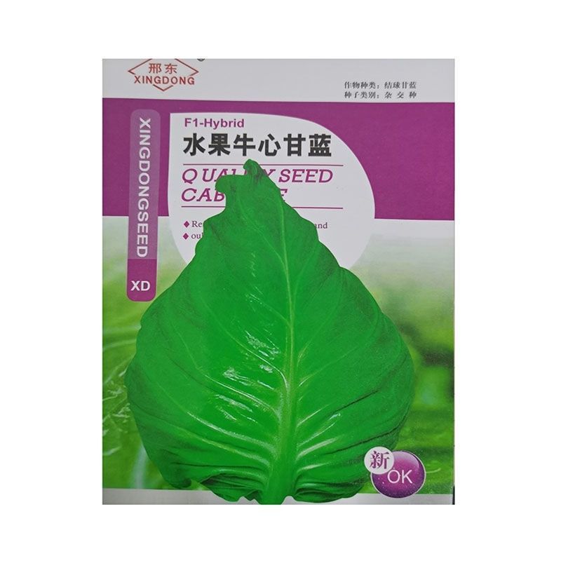 早熟牛心甘蓝种子包菜种籽莲花白卷心菜耐寒春夏秋冬四季蔬菜
