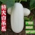 特大吊瓜种子巨型白南瓜白饺瓜庭院观光凉亭爬藤观赏食用蔬菜