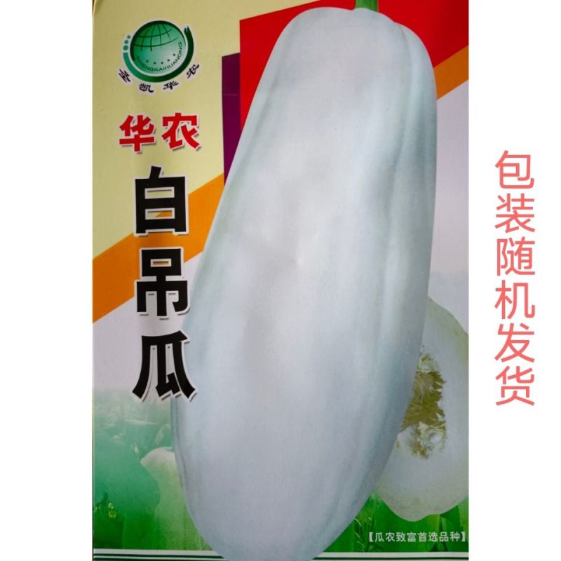 特大吊瓜种子巨型白南瓜白饺瓜庭院观光凉亭爬藤观赏食用蔬菜