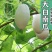特大吊瓜种子巨型白南瓜白饺瓜庭院观光凉亭爬藤观赏食用蔬菜