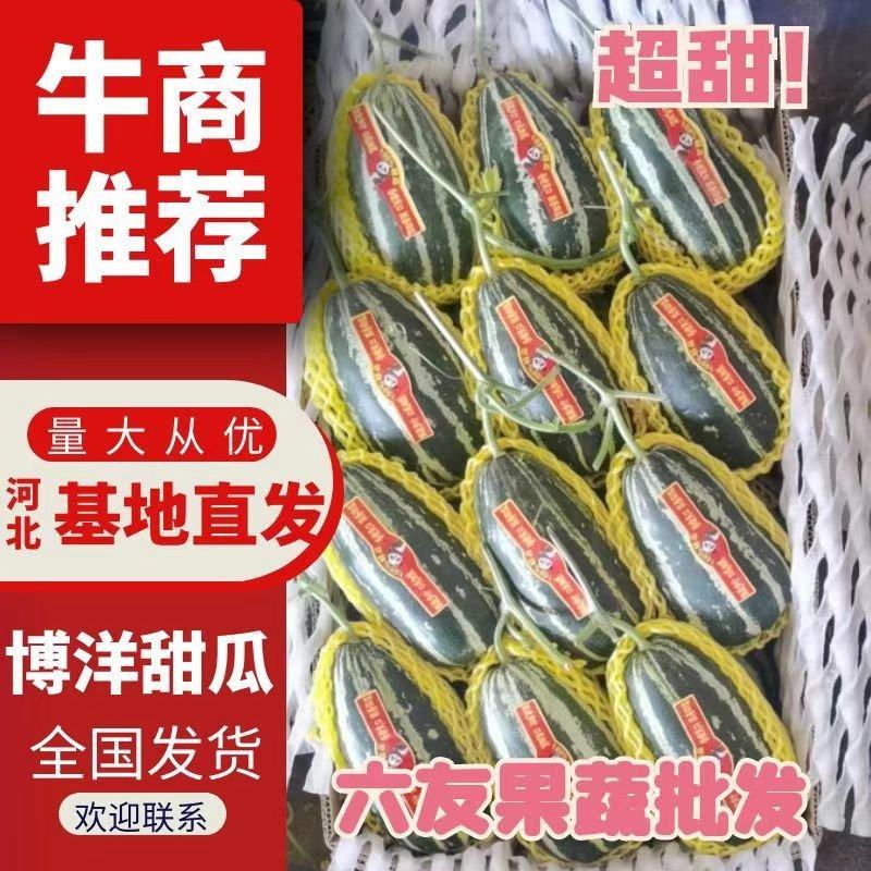 精美博洋9，博洋61口感酥脆，产地直销，大量供应