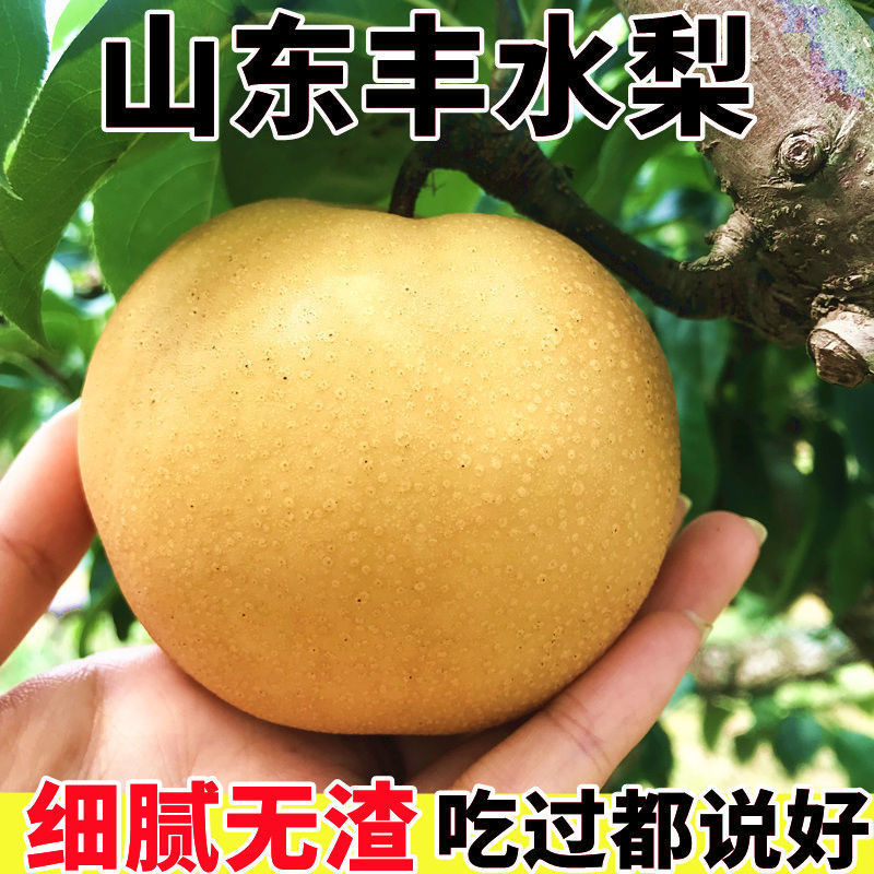 冠县丰水梨，承接电商社区团购，商超市场，一件代发