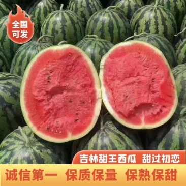 西瓜：吉林优质西瓜：可视频看货，基地直供。保质保量，诚信
