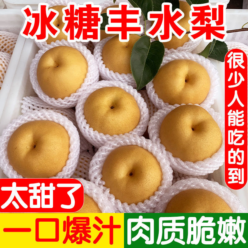 冠县丰水梨300~350g纸袋山东冠县梨主产地