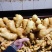 江苏【大黄姜/红芽姜】泥姜水洗姜风干姜批发/存库