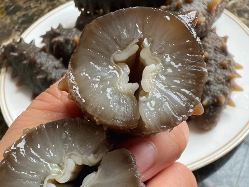 即食海参鲜食海参批发海参厂家即食海参速食鲜蒸冷冻即食海参