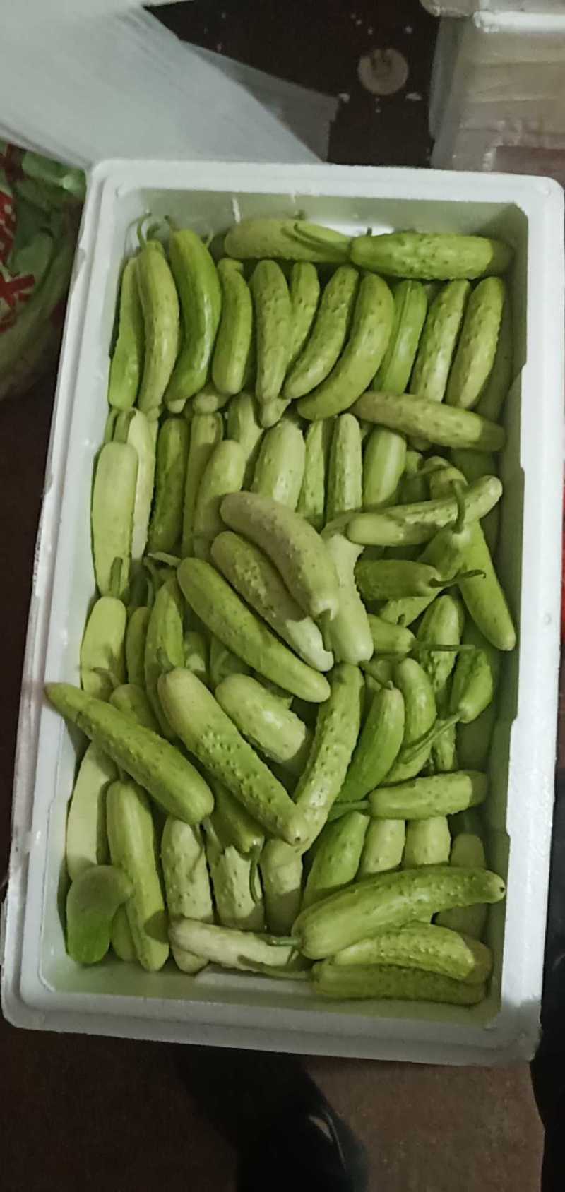 黄瓜