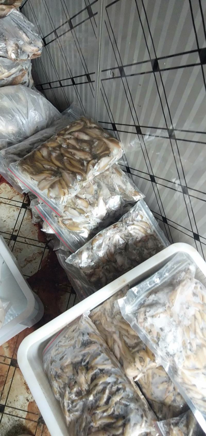 鲫鱼，精品淮河小鲫鱼，鲜货现杀去肚，去筛，去鳞。2斤一袋
