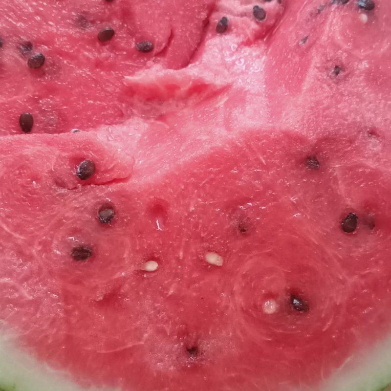 8424西瓜