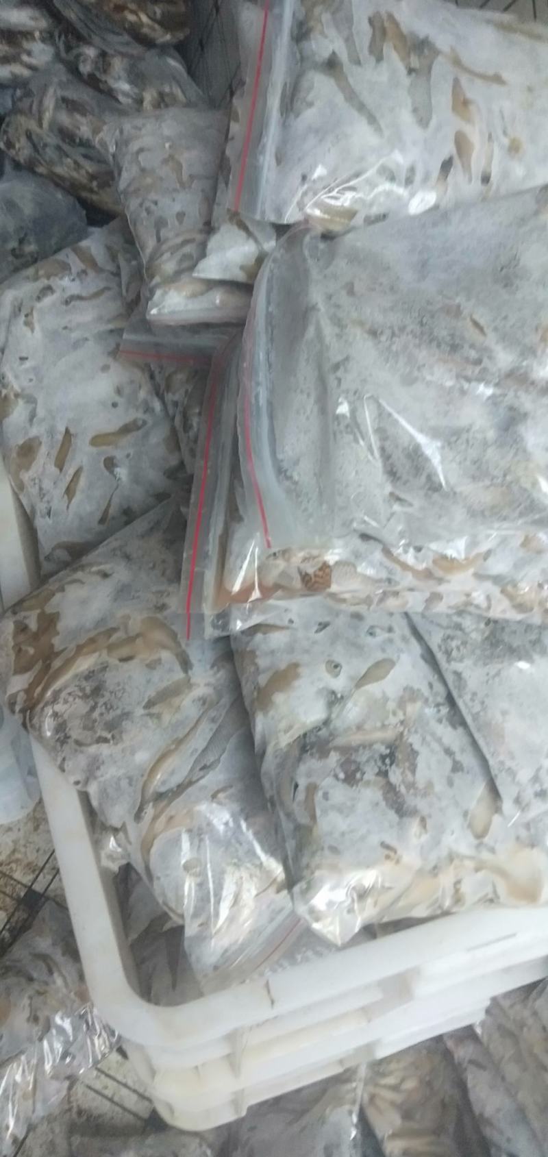 河虾，精品淮河小河虾，新鲜干净，活虾冷冻，2斤一袋。