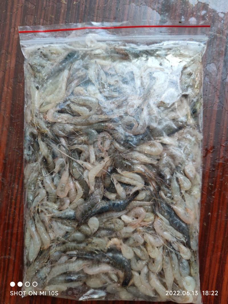 河虾，精品淮河小河虾，新鲜干净，活虾冷冻，2斤一袋。