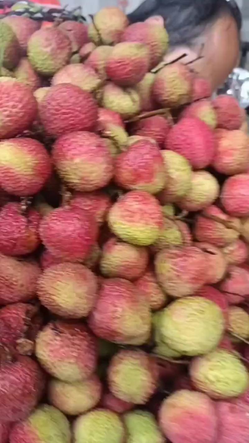 【精品】广东阳西各种荔枝大量上市，欢迎你的光临！