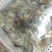 河虾，精品淮河小河虾，新鲜干净，活虾冷冻，2斤一袋。