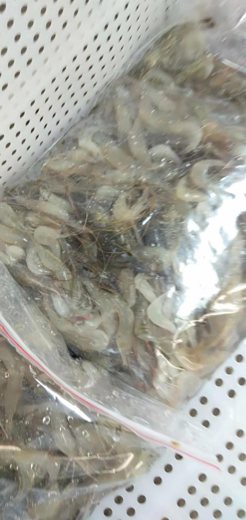 河虾，精品淮河小河虾，新鲜干净，活虾冷冻，2斤一袋。