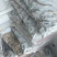 麦穗鱼，精品淮河麦穗鱼，新鲜干净，去内脏，2斤一袋